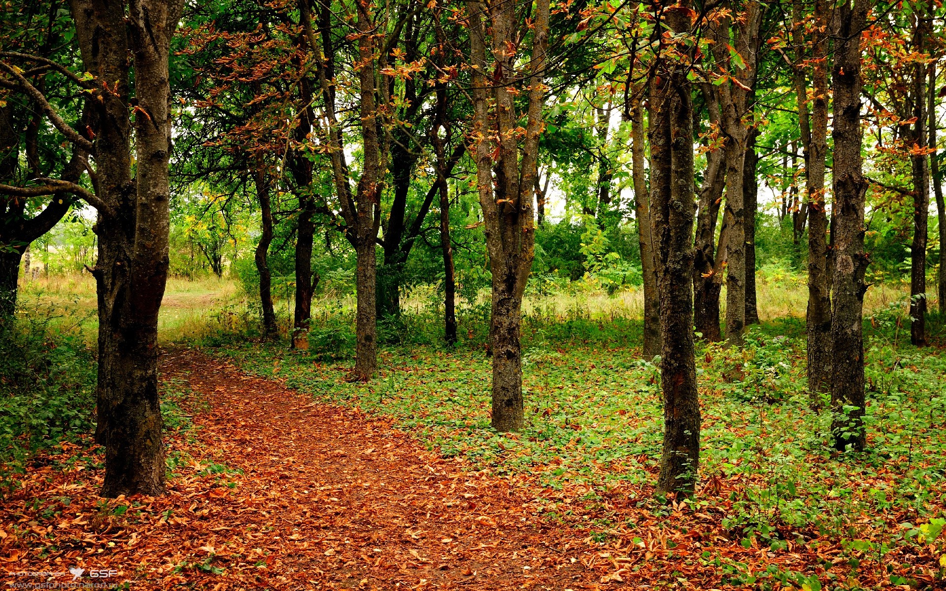 历史夜,狂砍45+12!深圳队面前,米切尔打出了定义自己的一战