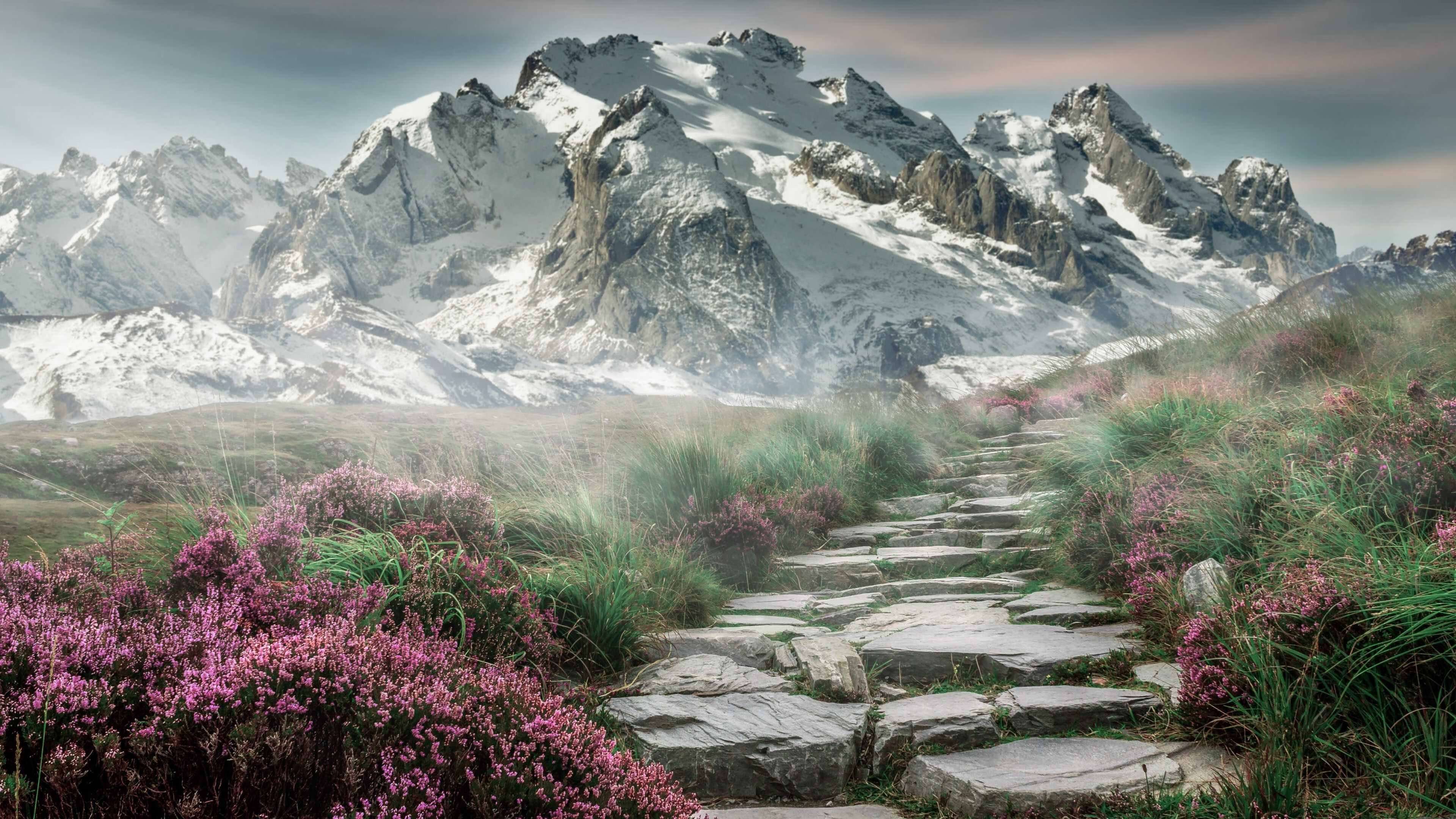 三色交响,若日尼奥的节奏,拜仁的铁血,波兰的终章