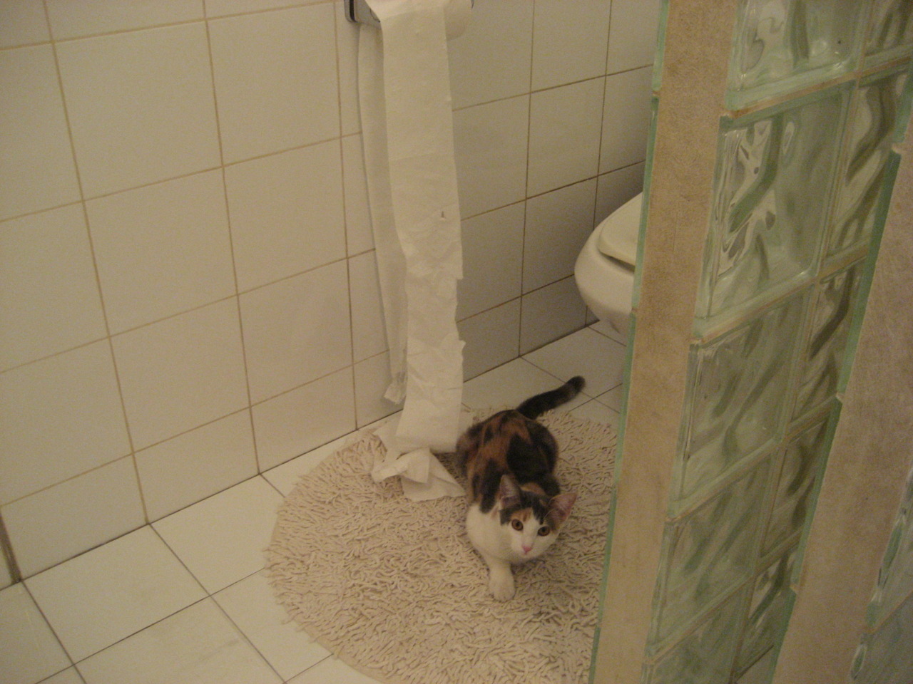 镜像对决，国家德比之夜，当特奥终结心魔完成唯一救赎