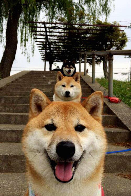 北欧寒潮卷走安达卢西亚的阳光，莫德里奇在黄昏中完成自我救赎