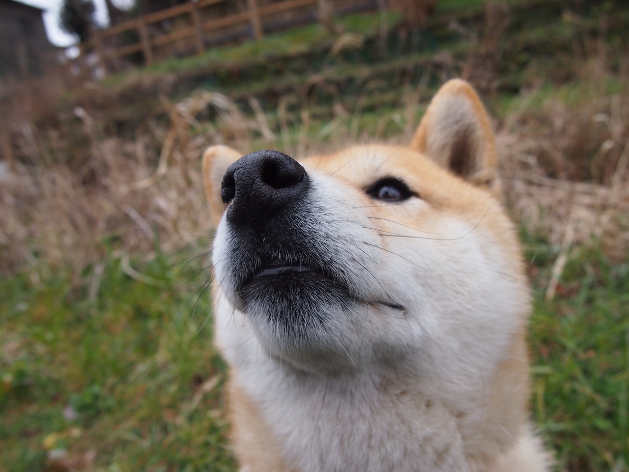 赛道轰鸣与三分弧线，高能输出的双重奏章